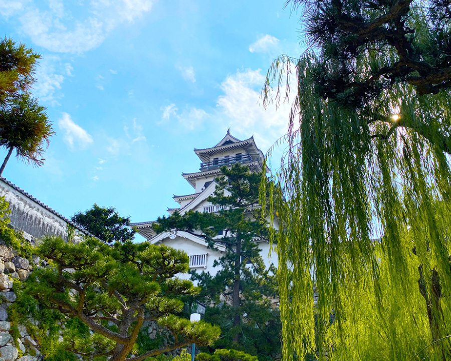 愛媛県